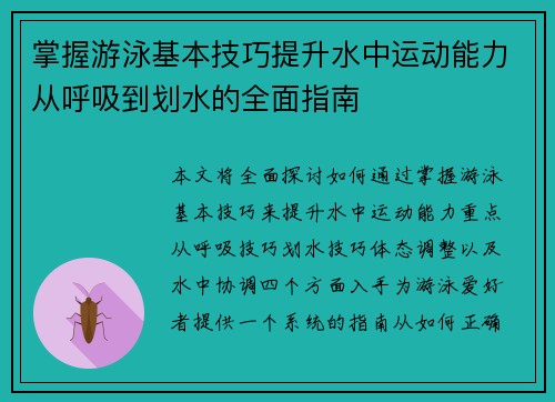 掌握游泳基本技巧提升水中运动能力从呼吸到划水的全面指南