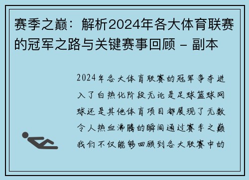 赛季之巅：解析2024年各大体育联赛的冠军之路与关键赛事回顾 - 副本